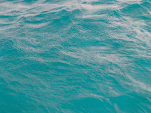 True Blue